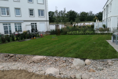 IMG_20190924_090235-Kopie